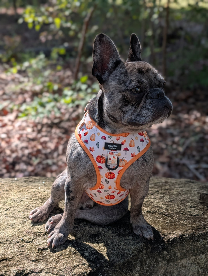 Pumpkin Patch Adjustable Harness