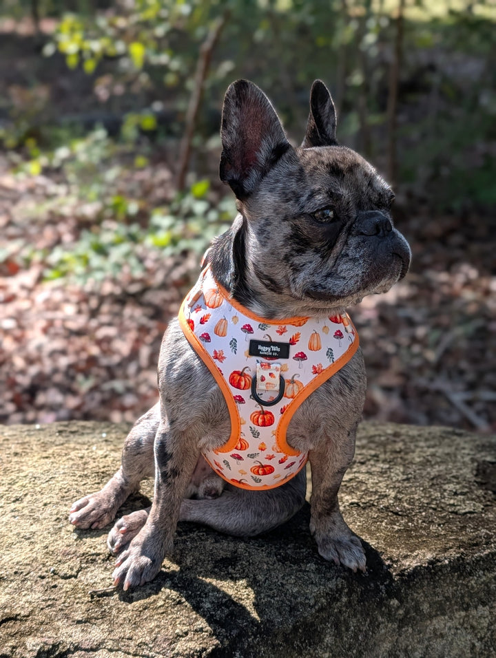 Pumpkin Patch Adjustable Harness