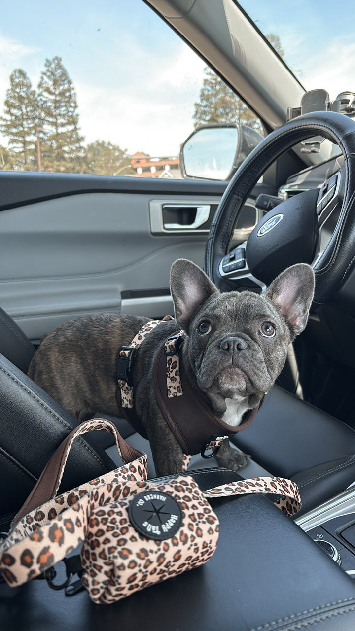 Run Wild Leash