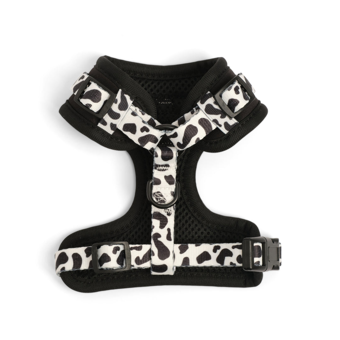 Dairy Dog Adjustable Harness