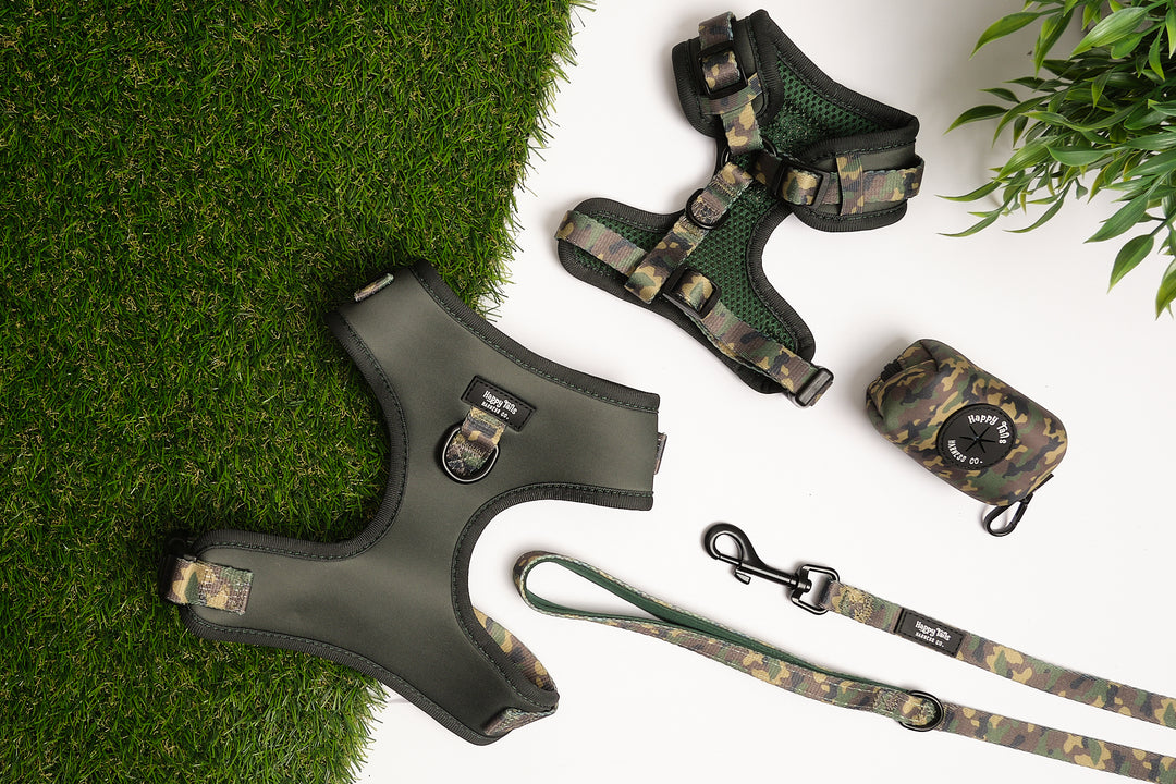 Camo Canine Walking Set