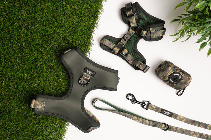 Camo Canine Walking Set