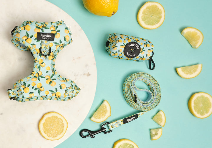 Lemon Drop Walking Set