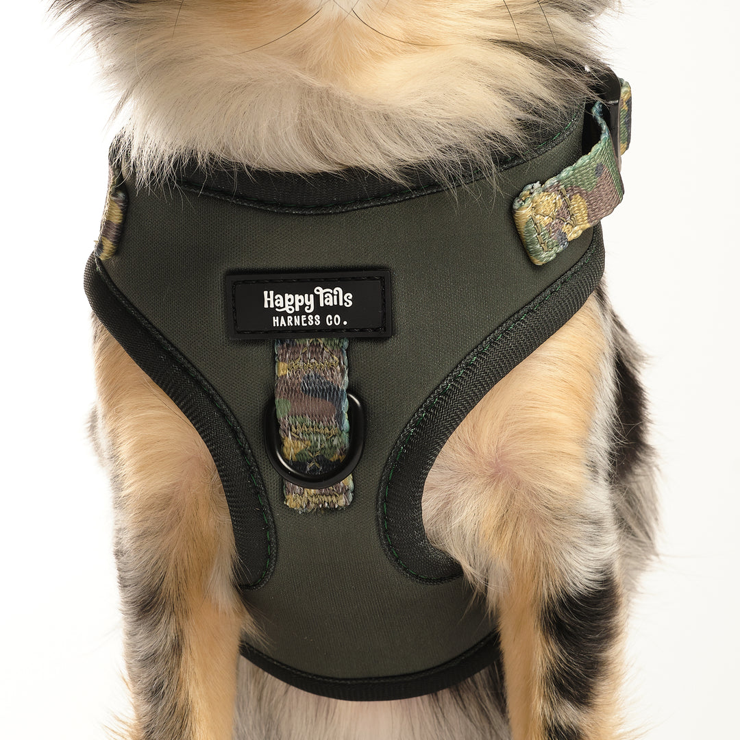 Camo Canine Walking Set