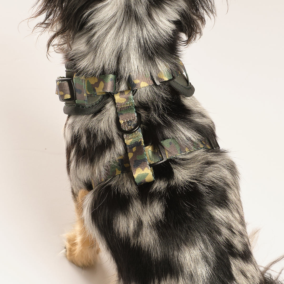 Camo Canine Walking Set