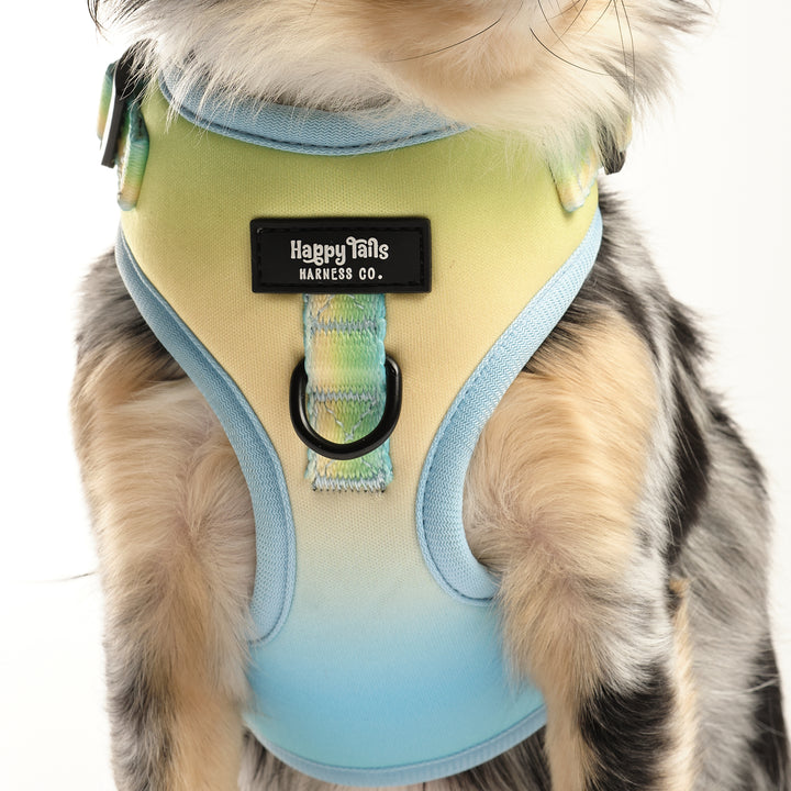 Pastel Breeze Adjustable Harness