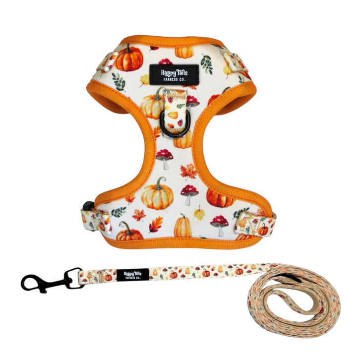 Pumpkin Patch Harness + Leash Set