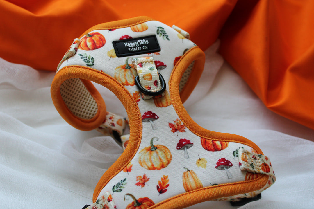 Pumpkin Patch Adjustable Harness