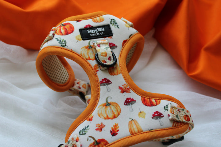 Pumpkin Patch Adjustable Harness