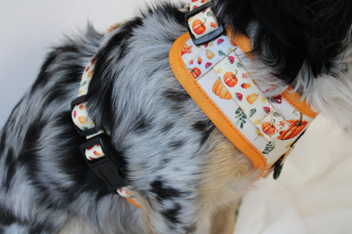 Pumpkin Patch Adjustable Harness