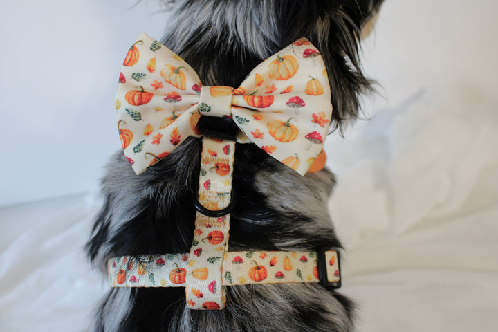 Pumpkin Patch Bow Tie