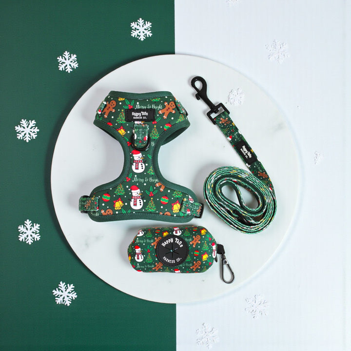 Merry & Bright Leash