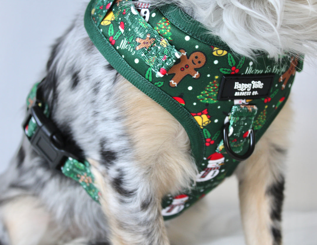 Merry & Bright Adjustable Harness