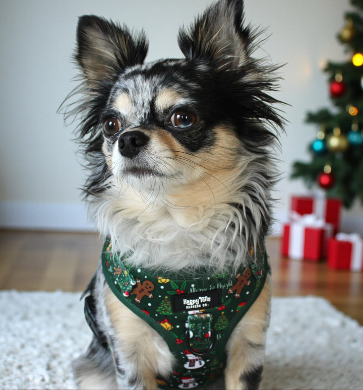 Merry & Bright Adjustable Harness