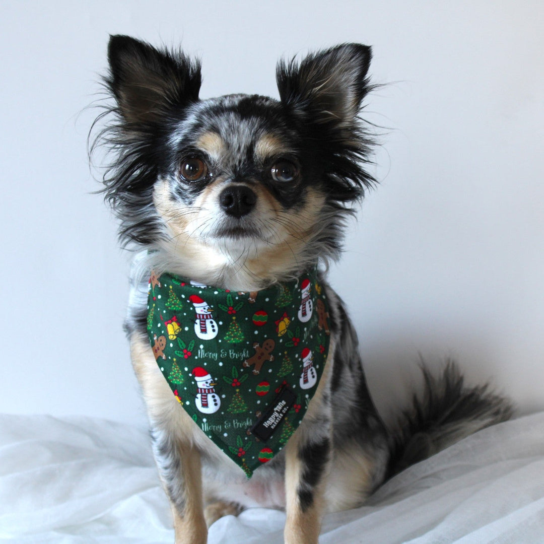 Merry & Bright Bandana