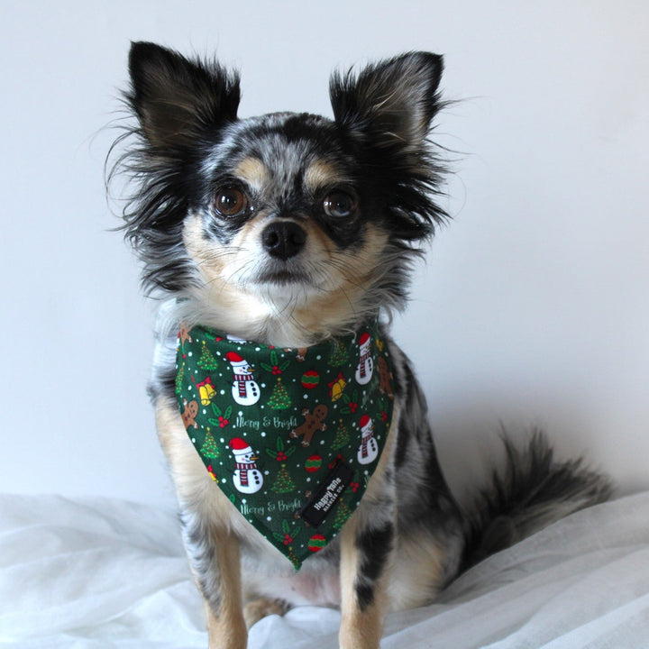 Merry & Bright Bandana