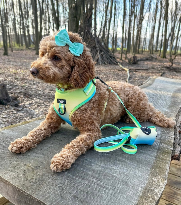 Pastel Breeze Leash