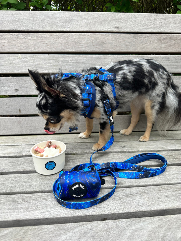 Galaxy Paws Leash