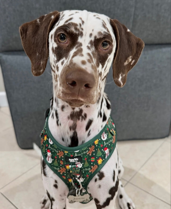 Merry & Bright Adjustable Harness