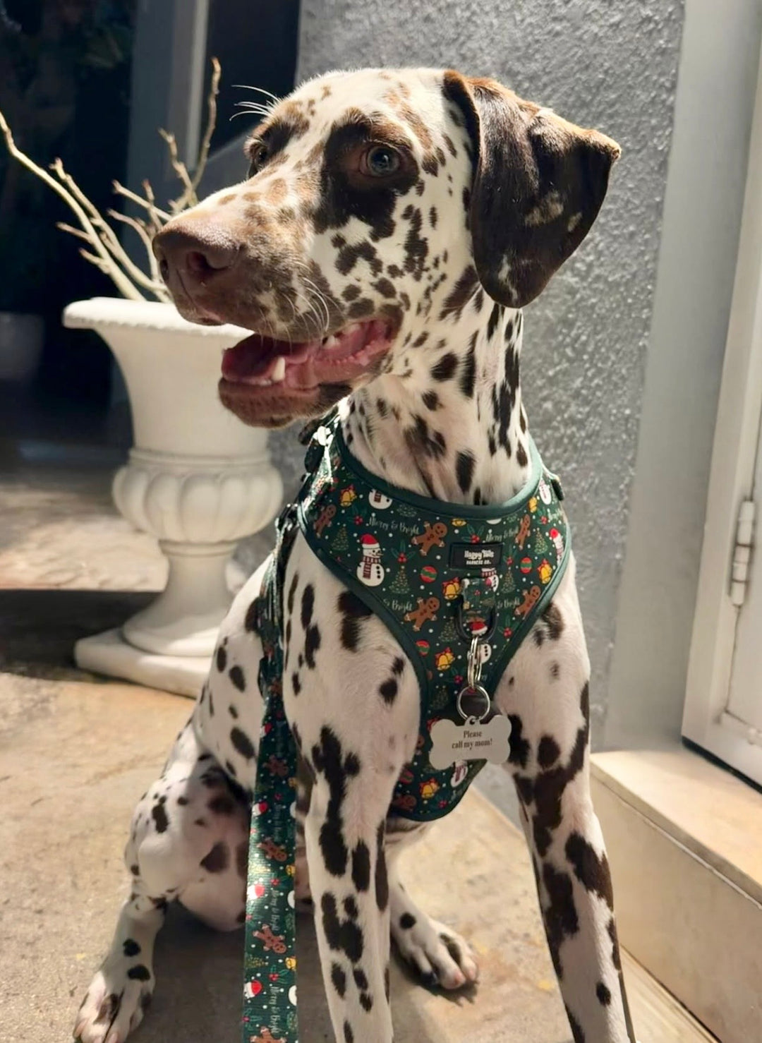 Merry & Bright Walking Set