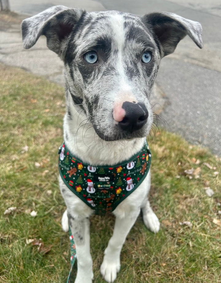 Merry & Bright Adjustable Harness