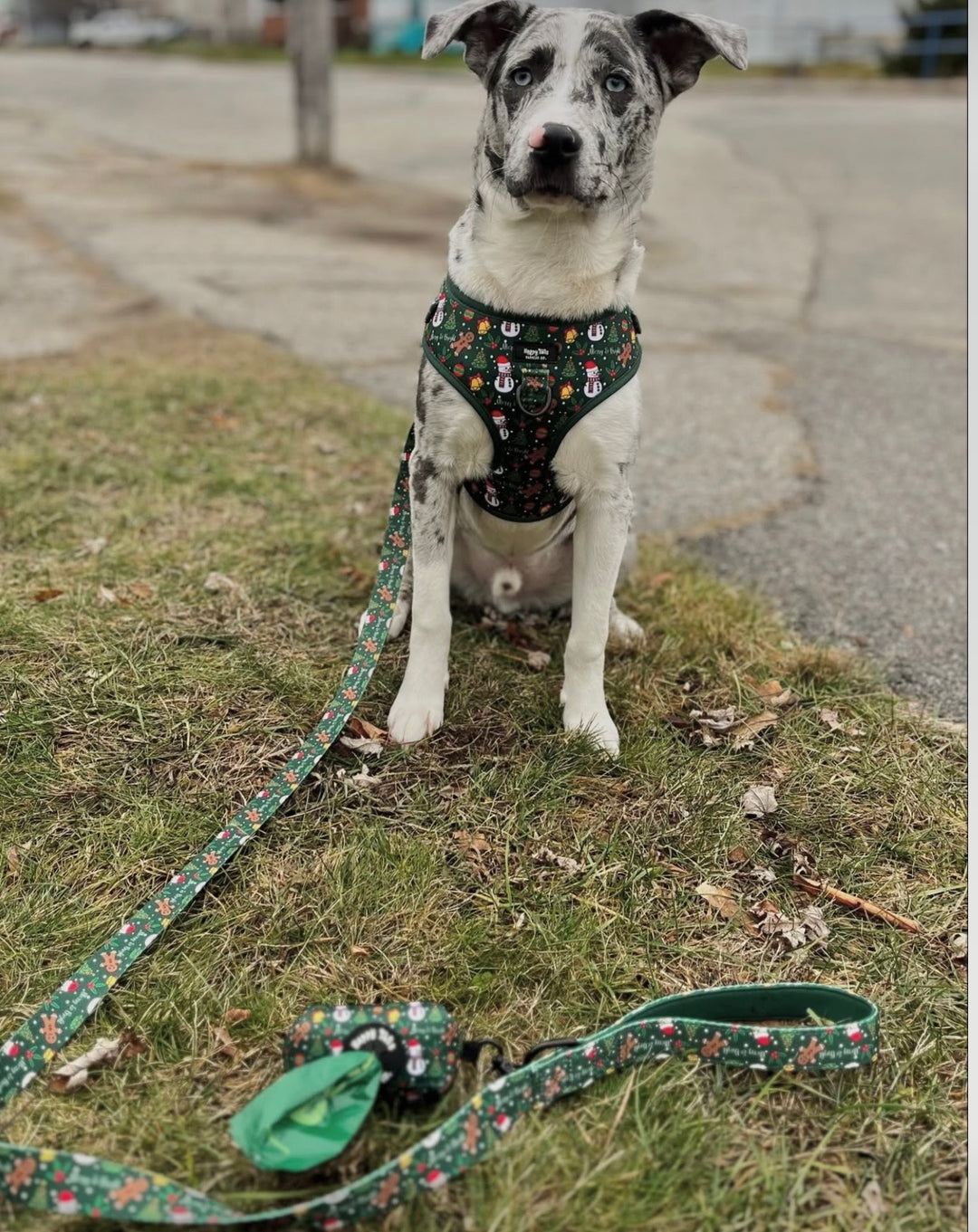 Merry & Bright Poop Bag Holder