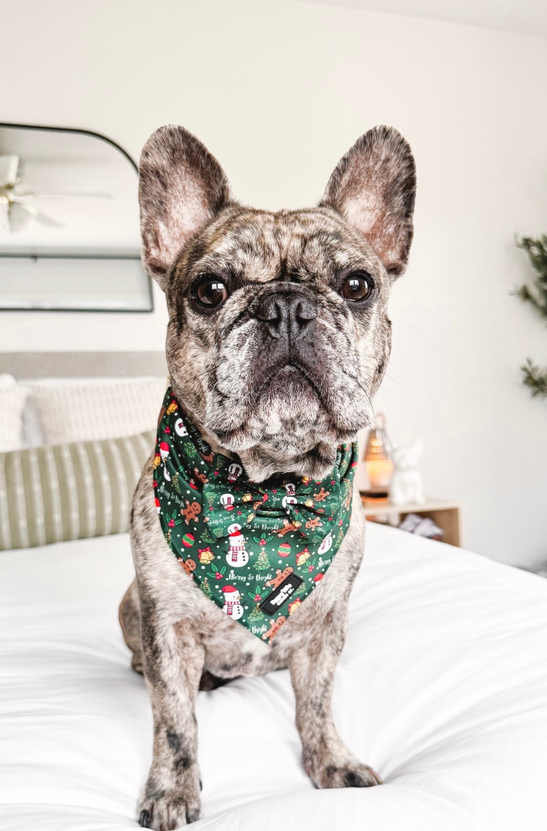 Merry & Bright Bandana