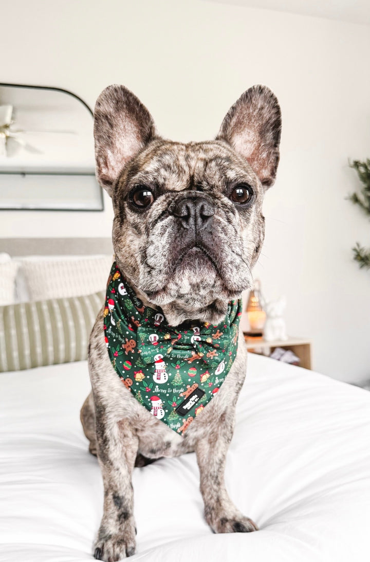 Merry & Bright Bandana