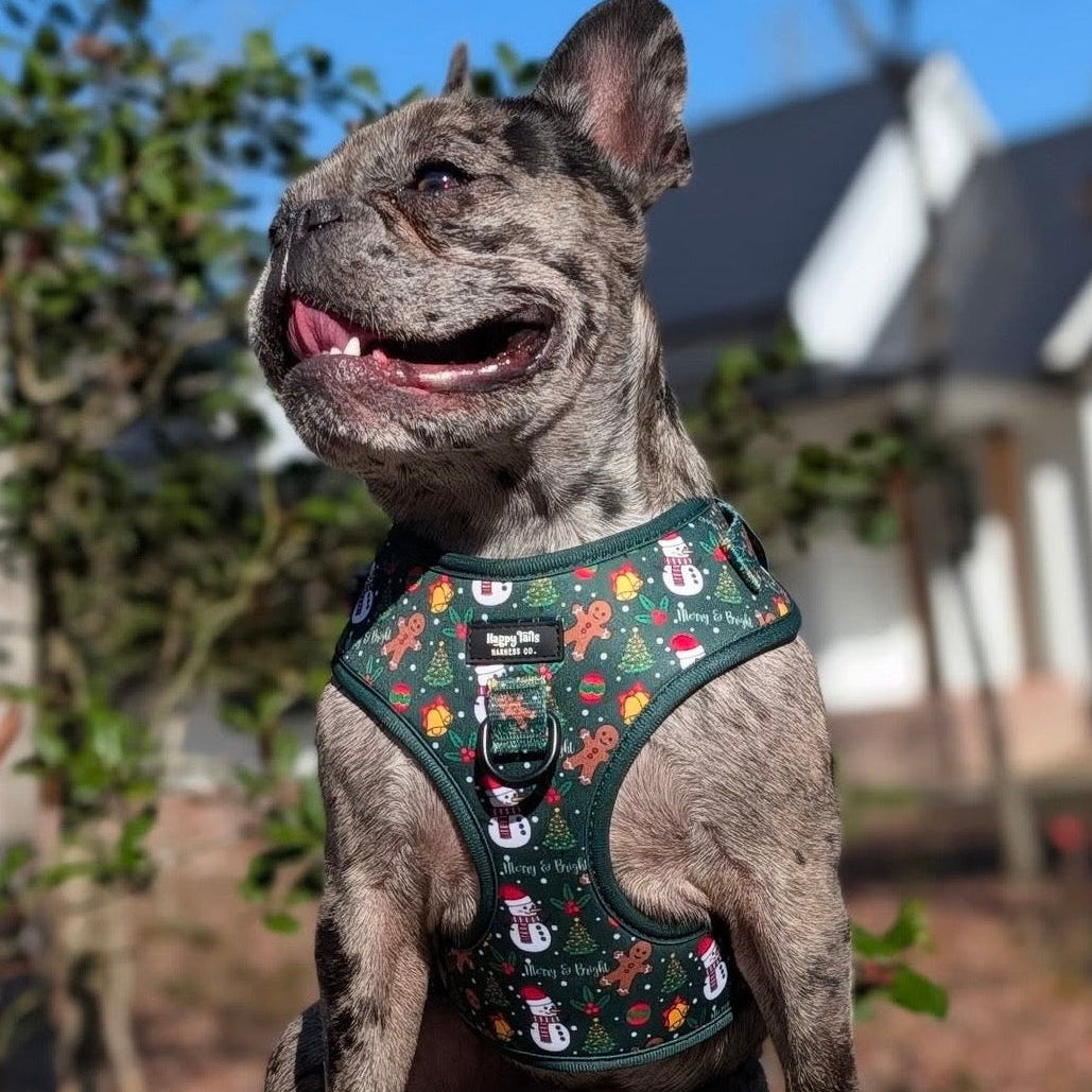 Merry & Bright Walking Set