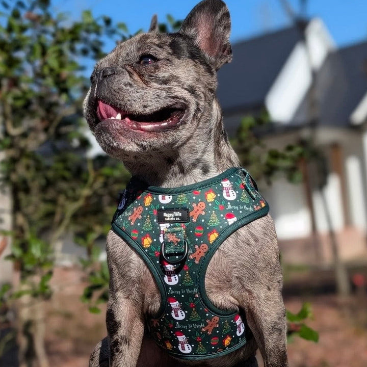 Merry & Bright Walking Set