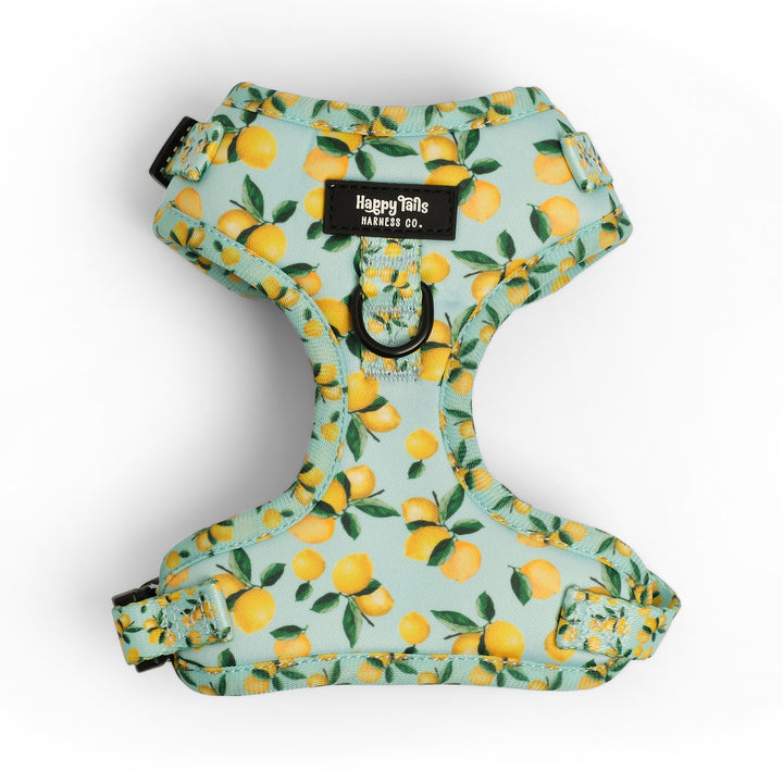 Lemon Drop Adjustable Harness