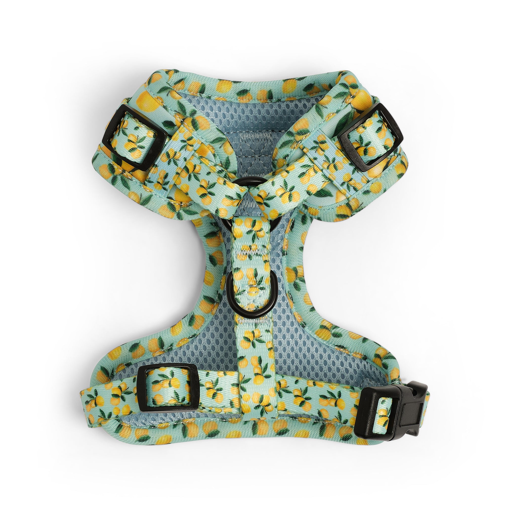 Lemon Drop Adjustable Harness – Happy Tails Harness Co.