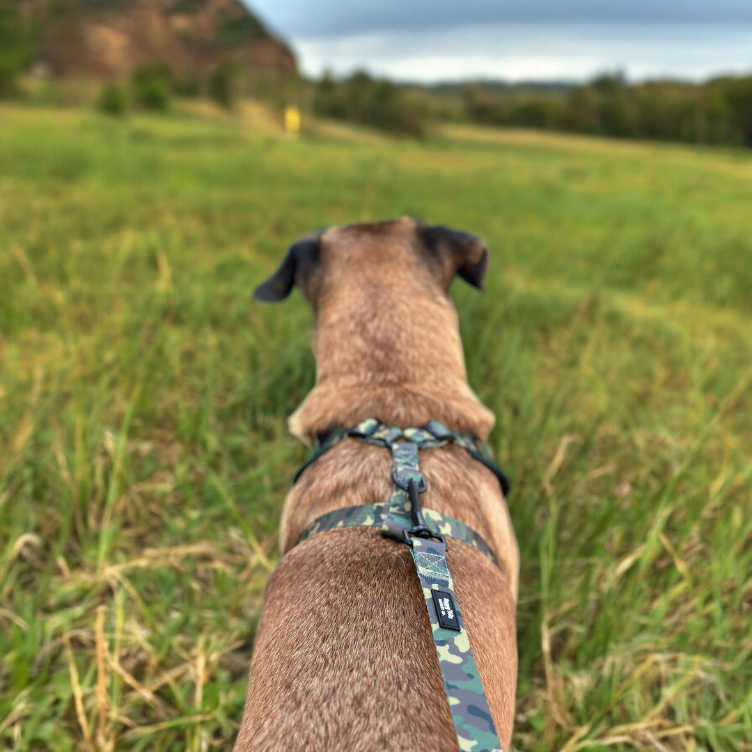 Camo Canine Leash