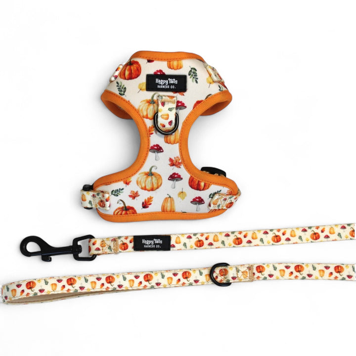 Pumpkin Patch Harness + Leash Set
