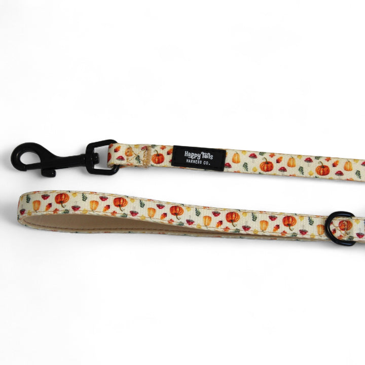 Pumpkin Patch Leash