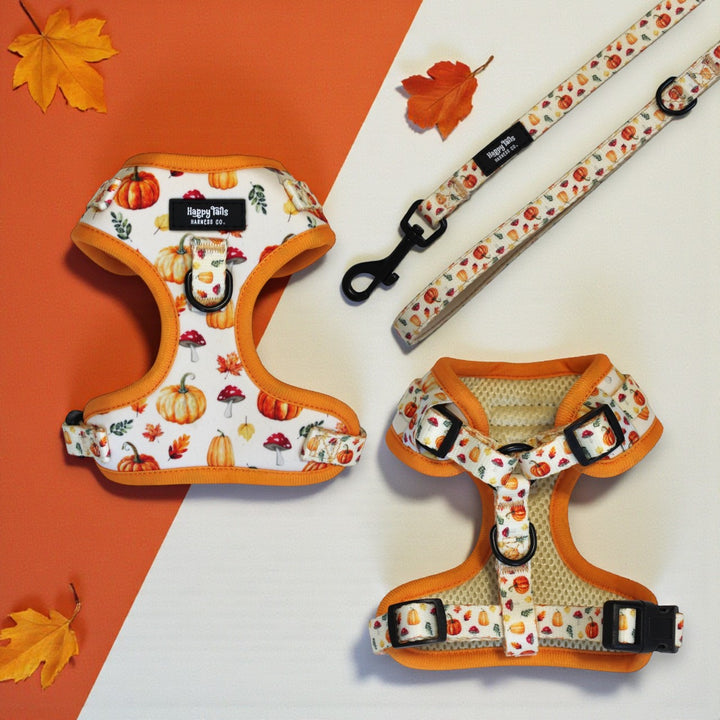 Pumpkin Patch Leash