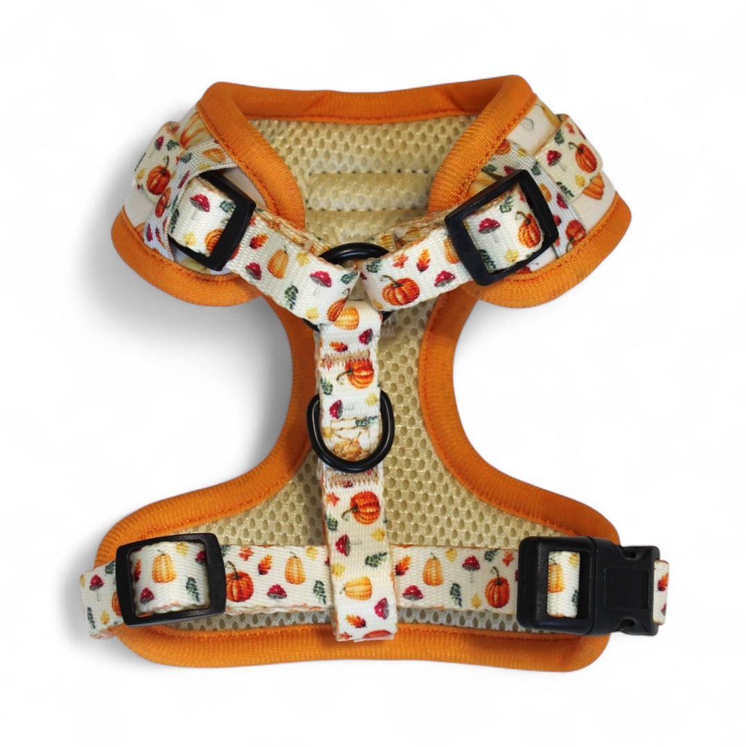 Pumpkin Patch Adjustable Harness