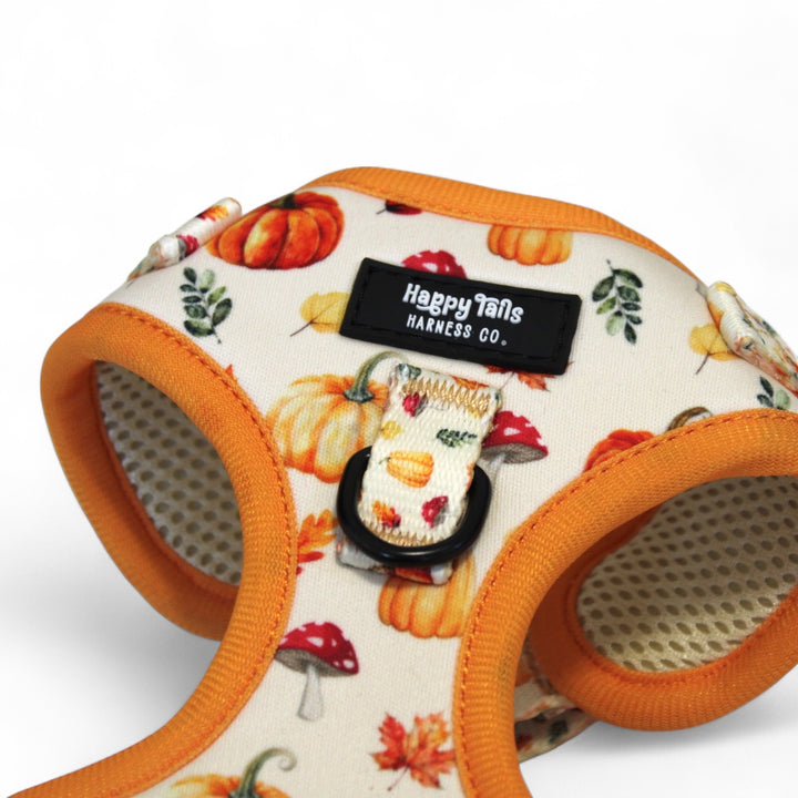 Pumpkin Patch Harness + Leash Set