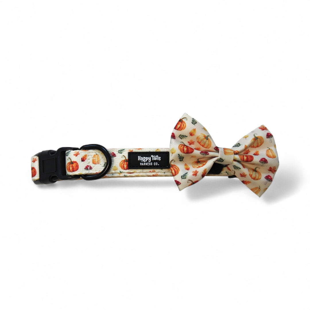 Pumpkin Patch Bow Tie
