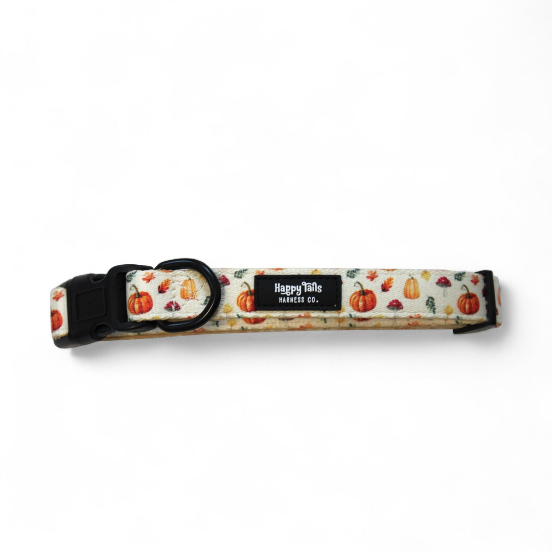 Pumpkin Patch Collar