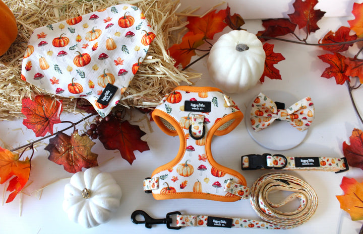 Pumpkin Patch Leash