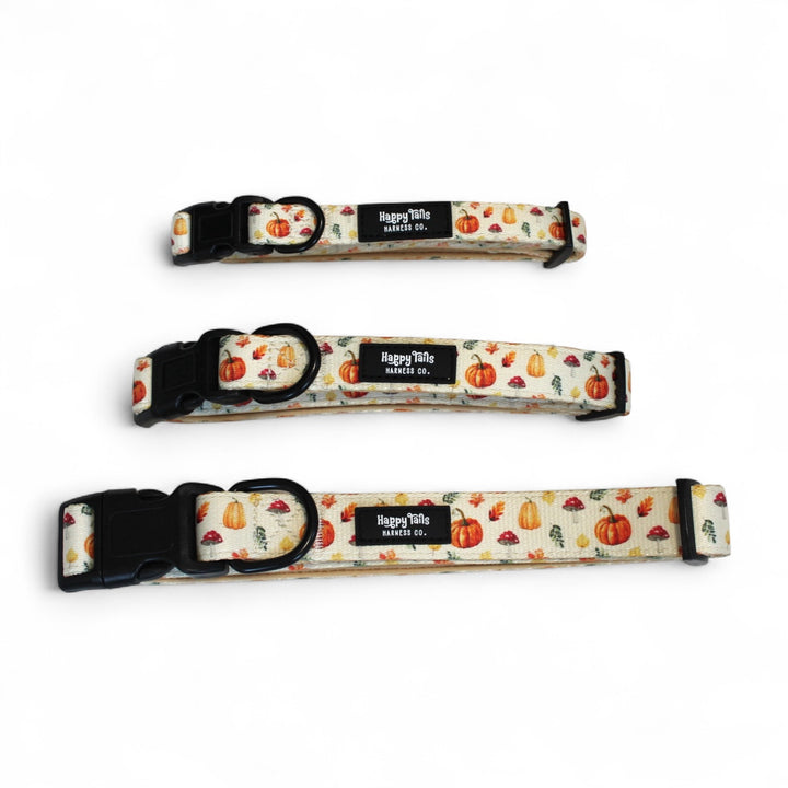 Pumpkin Patch Collar