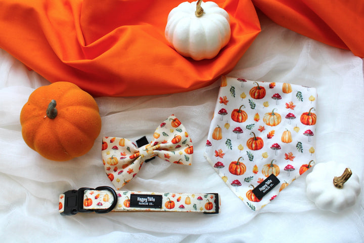 Pumpkin Patch Bow Tie