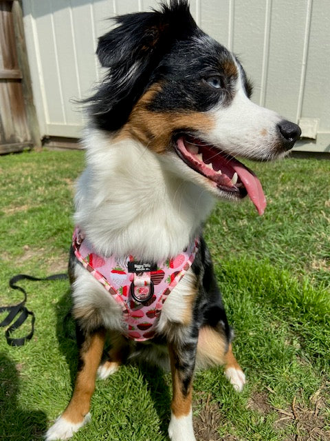 ChocoBerry Bliss Walking Set