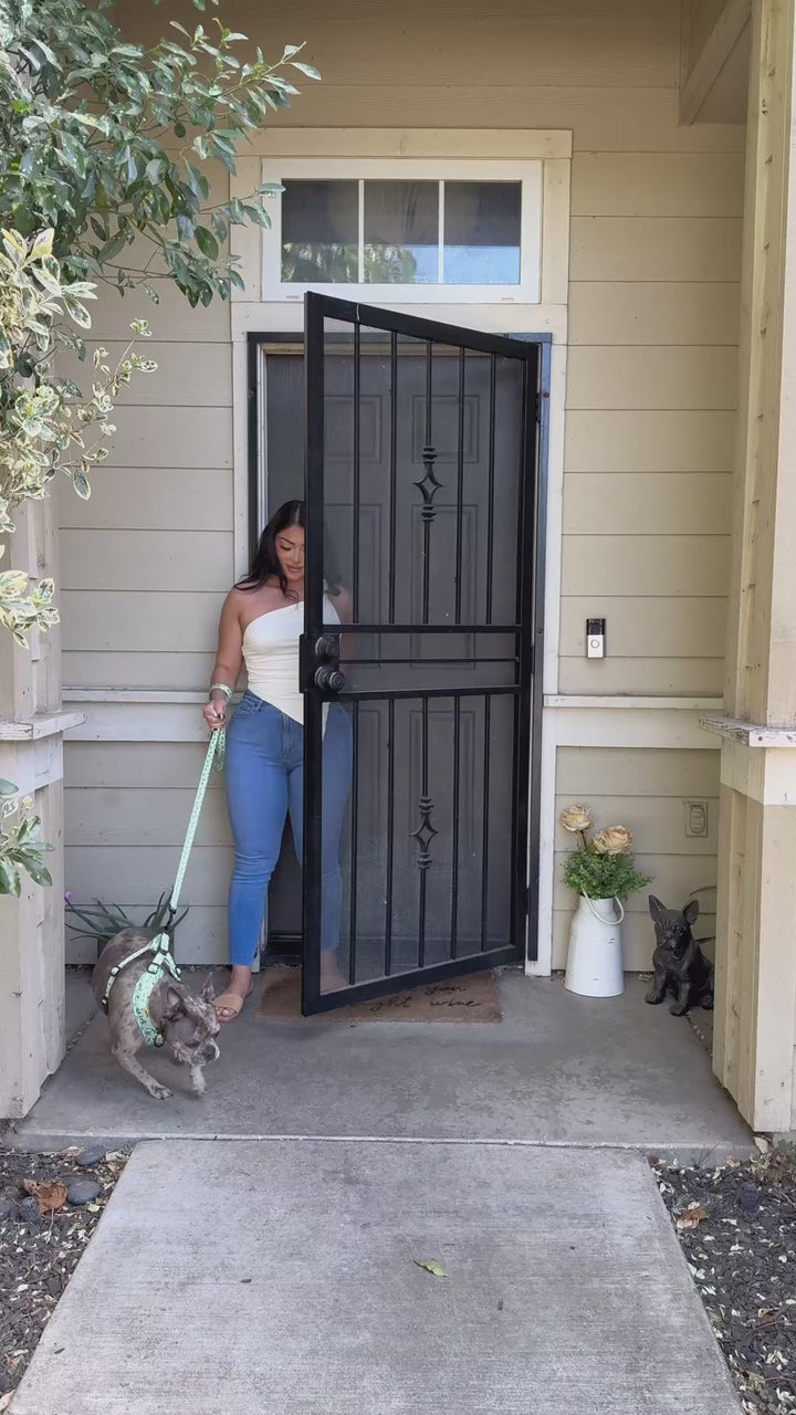 Lemon Drop Adjustable Harness